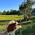 Am By Interhome Schwielochsee