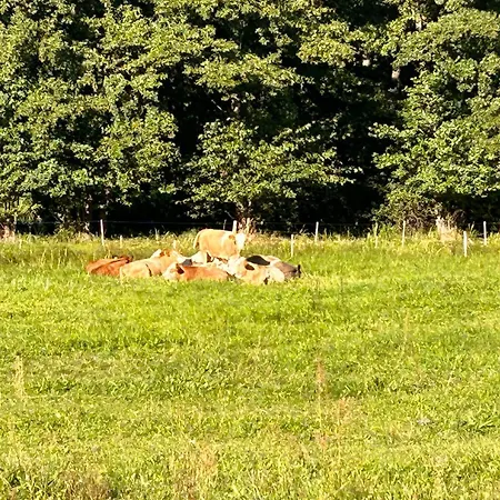 Apartment Am By Interhome