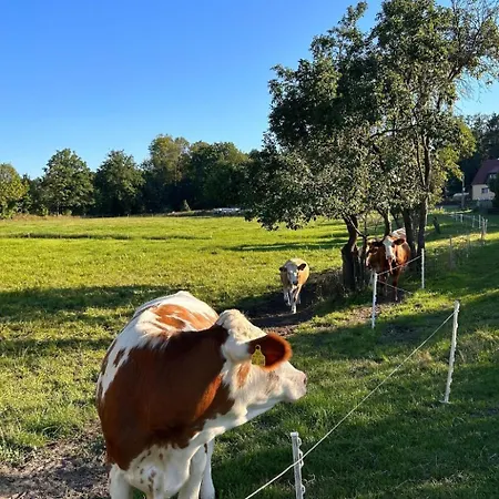 Am By Interhome Schwielochsee