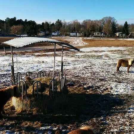 Apartment Am By Interhome