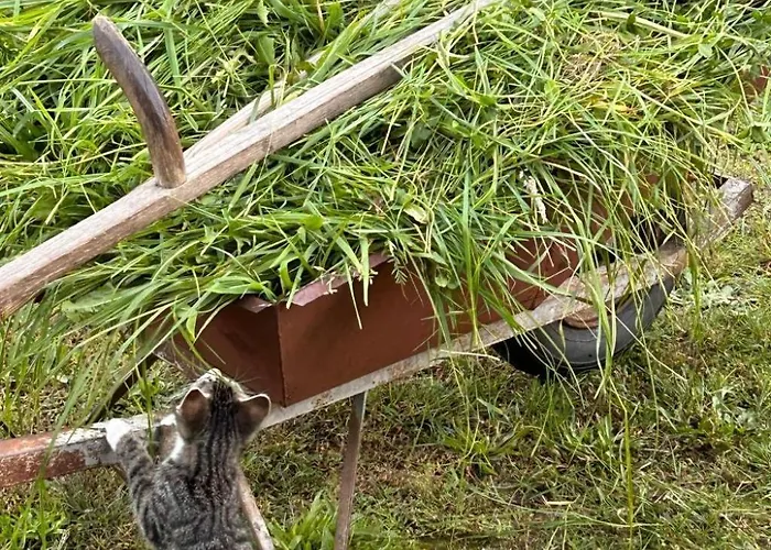 Apartment Am By Interhome Schwielochsee