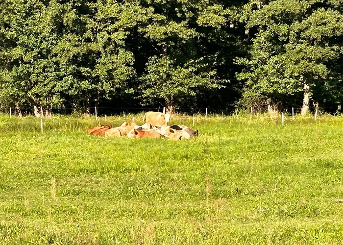 Apartamento Am By Interhome