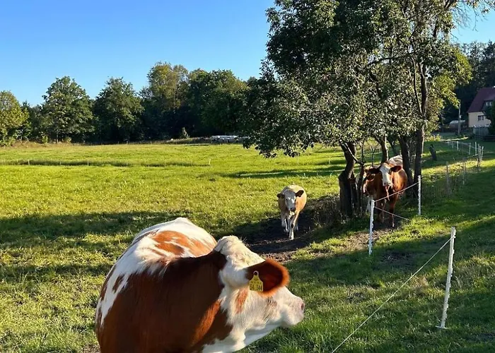 Am By Interhome Schwielochsee